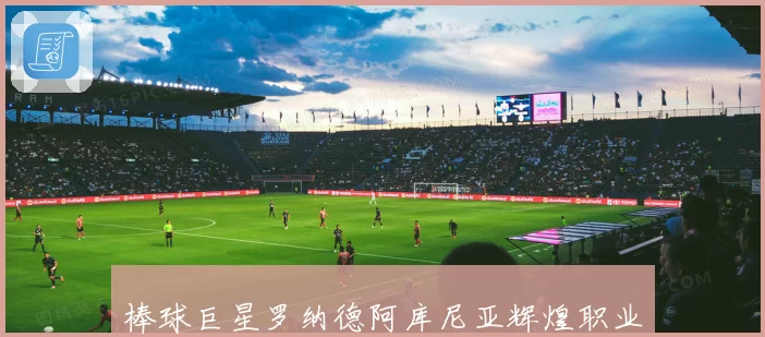 棒球巨星罗纳德阿库尼亚辉煌职业生涯与赛场传奇揭秘