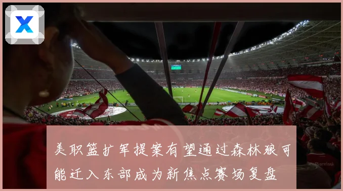 美职篮扩军提案有望通过森林狼可能迁入东部成为新焦点赛场复盘