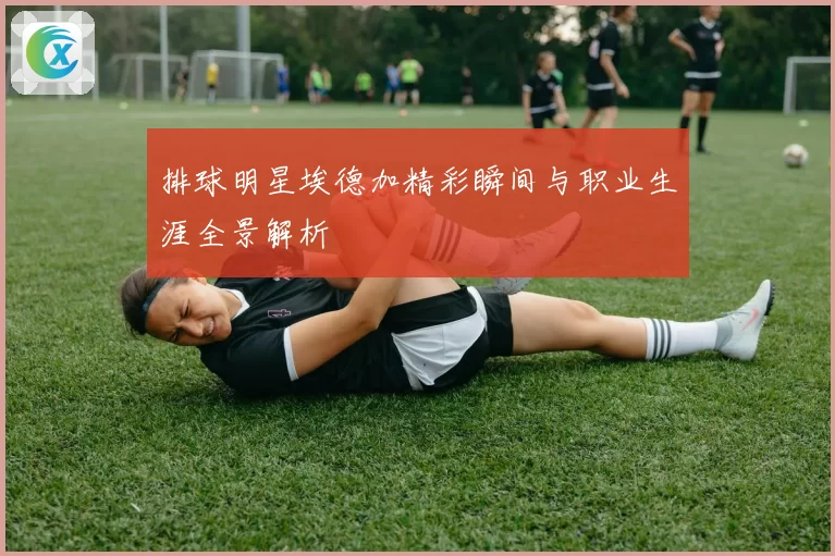 排球明星埃德加精彩瞬间与职业生涯全景解析