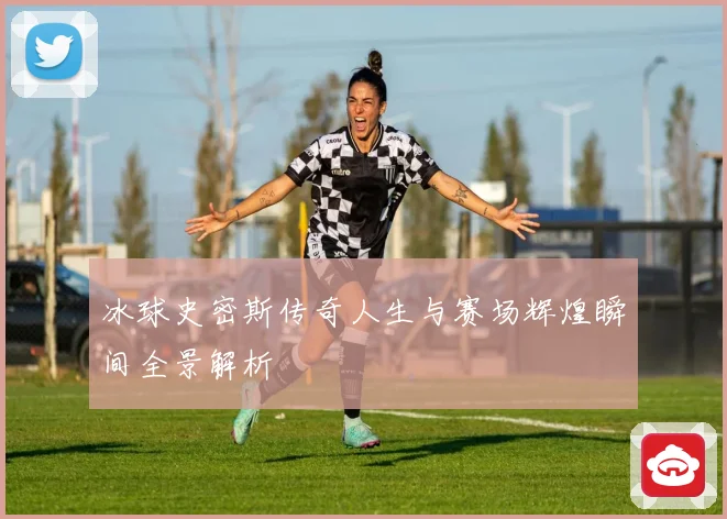 冰球史密斯传奇人生与赛场辉煌瞬间全景解析