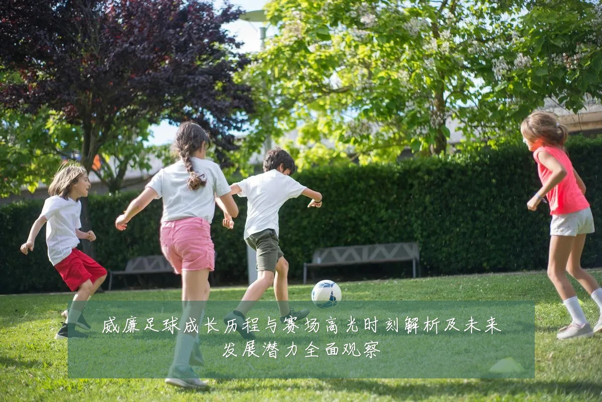 威廉足球成长历程与赛场高光时刻解析及未来发展潜力全面观察