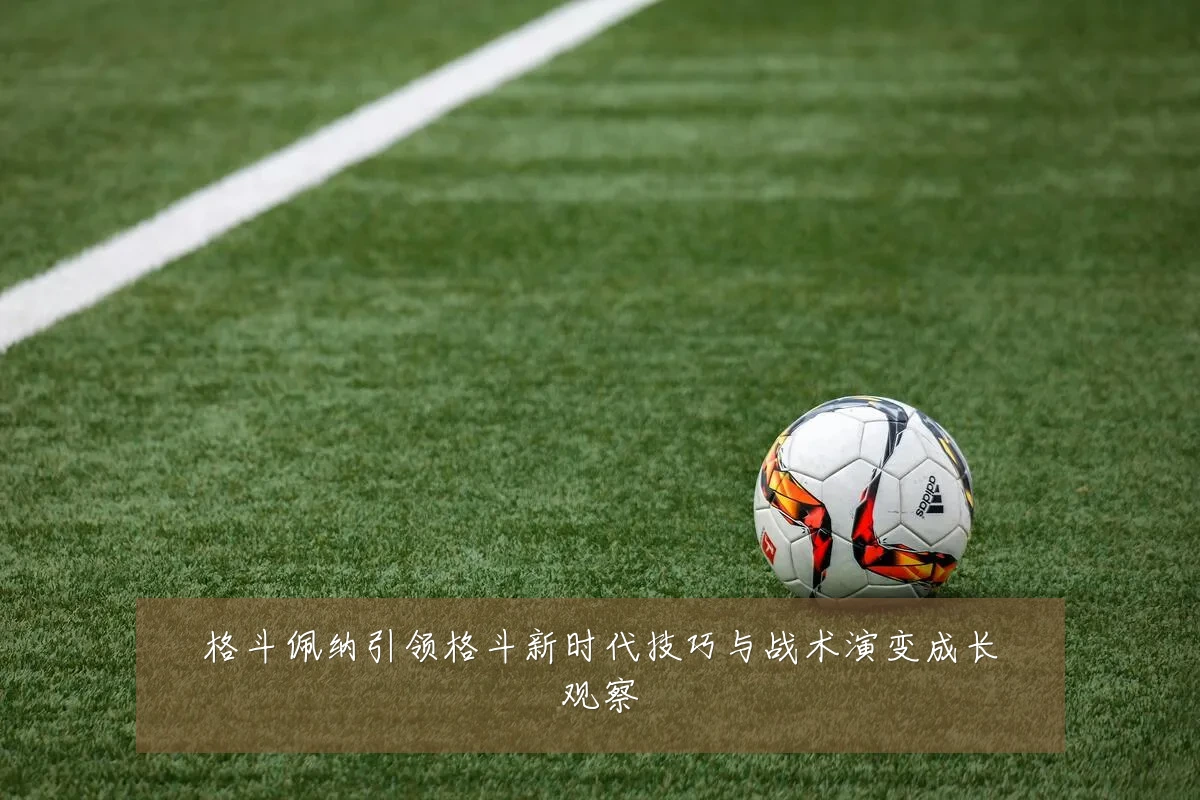 格斗佩纳引领格斗新时代技巧与战术演变成长观察